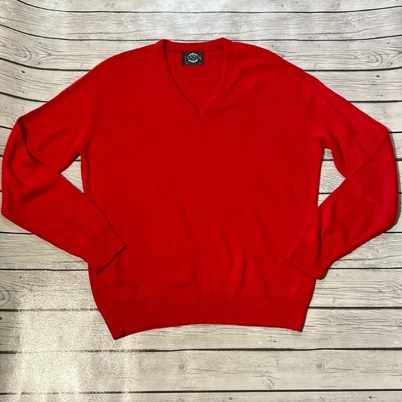 Jantzen Other - 🌻JANTZEN Men’s sz. L Red V-Neck Sweater